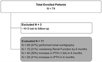 1,25-dihydroxyvitamin D as Predictor of Renal Worsening Function in Chronic Kidney Disease. Results From the PASCaL-1,25D Study